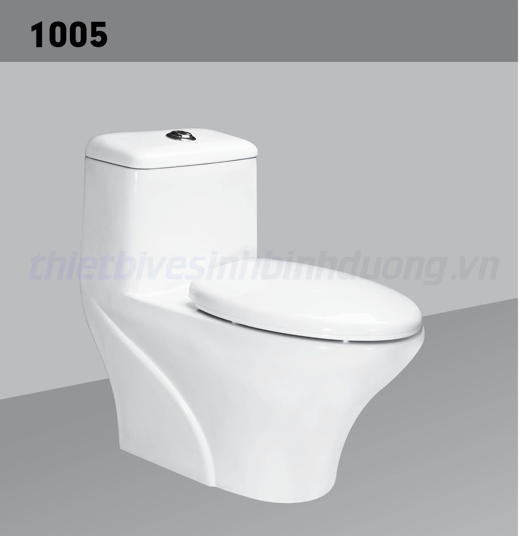 Bồn cầu sứ Hảo Cảnh HC 1005